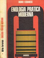 Enologia pratica moderna