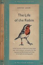 The Life of the Robin