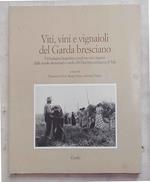 Viti, vini e vignaioli del Garda Bresciano. Un'indagine linguistica condotta con i ragazzi delle scuole elementari e medie del Distretto scolastico di Salò