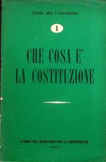 Che cosa è la Costituzione