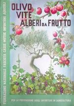 Olivo, vite, alberi da frutto