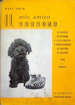 Il mio amico barbone: allevamento, ereditarietà, educazione, malattie, cure