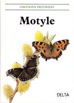 Motyle