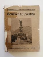 Trentino: praktika gvidlibro