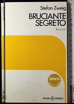 Bruciante segreto