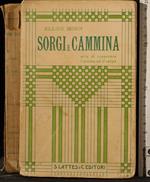 Sorgi e cammina