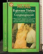 Il Giovane Torless Congiungimenti