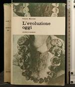 L' Evoluzione Oggi