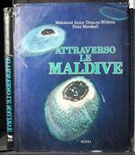 Attraverso le Maldive