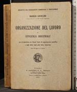 Organizzazione del lavoro ed efficienza industriale