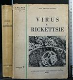 Virus e Rickettsie