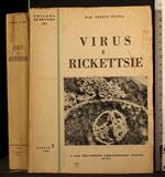 Virus e rickettsie