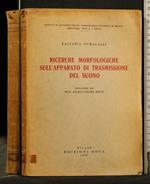 Ricerche Morfologiche Sull'Apparato di Trasmissione Del Suono