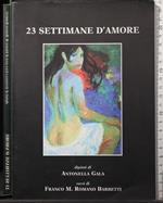 23 settimane d'amore