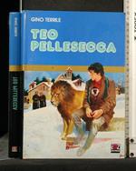 Teo Pellesecca