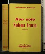 Non Solo Sodoma Brucia