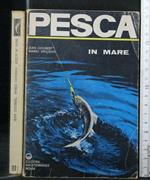 Pesca in Mare