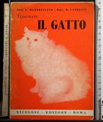 Conoscere Il gatto