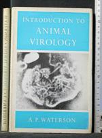 Introducing To Animal Virology. Waterson. Cambridge