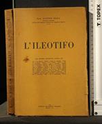 L' Ileotifo