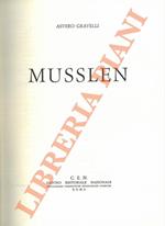 Musslen