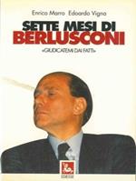 Sette mesi di Berlusconi. 