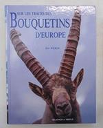 Sur les traces des bouquetins d'Europe