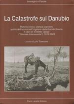 La Catastrofe Sul Danubio