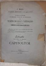 Capitolium- Tutte Le Rovine...Tempio di Giove Capitolino....Paludi D'ostia