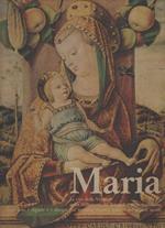 Maria-la Vita Della Vergine Nella Narrazione Dei Vangeli e Nella Tradizione, Attraverso I Dipinti e I Disegni Dei Massimi 