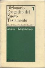 Dizionario Esegetico Del Nuovo Testamento - Volume I