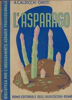 L' asparago