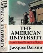 The american university