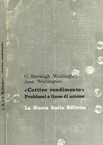 Cattivo rendimento. Problemi e linee di azioni