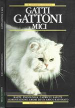 Gatti gattoni e mici