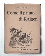 Come Il Pruno Di Kaigen