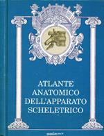 Atlante anatomico dell'apparato scheletrico