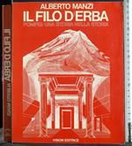 Il filo d'erba. Pompei: una storia nella storia