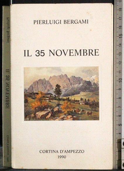 Il 35 novembre - copertina