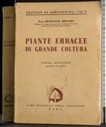 Piante erbacee di grande coltura