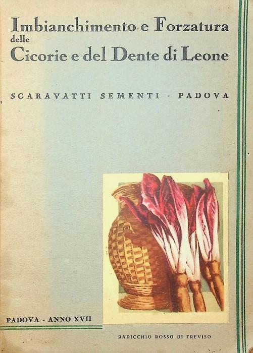 Imbianchimento e forzatura delle cicorie e del Dente di Leone: manuale pratico - Giuseppe Cecchi - copertina