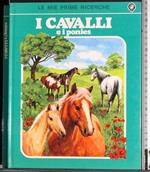 I cavalli e i ponies