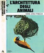 L' architettura degli animali