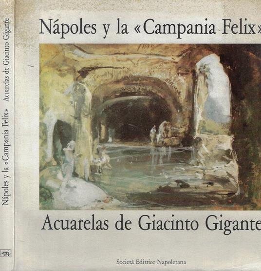 Napoles y la Campania felix. Acuarelas de Giacinto Gigante - copertina