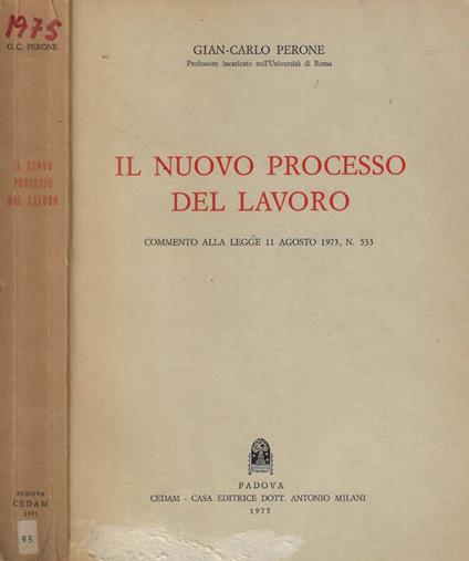 Il nuovo processo del lavoro - copertina