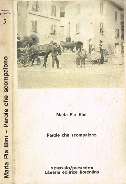 Parole che scompaiono - copertina