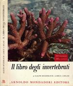 Il libro degli invertebrati