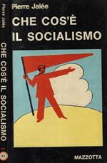 Che cos'è il socialismo