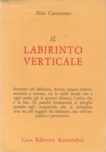 Il labirinto verticale