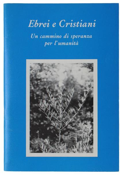 Ebrei E Cristiani. Un Cammino Di Speranza Per L'Umanità - copertina